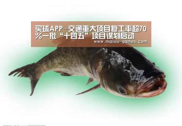 买球APP-交通重大项目复工率超70%一批“十四五”项目谋划启动(图1) 买球APP