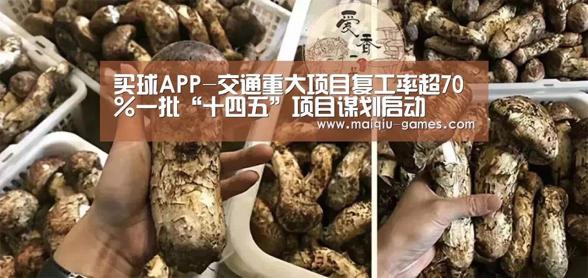 买球APP-交通重大项目复工率超70%一批“十四五”项目谋划启动(图2) 足球比分