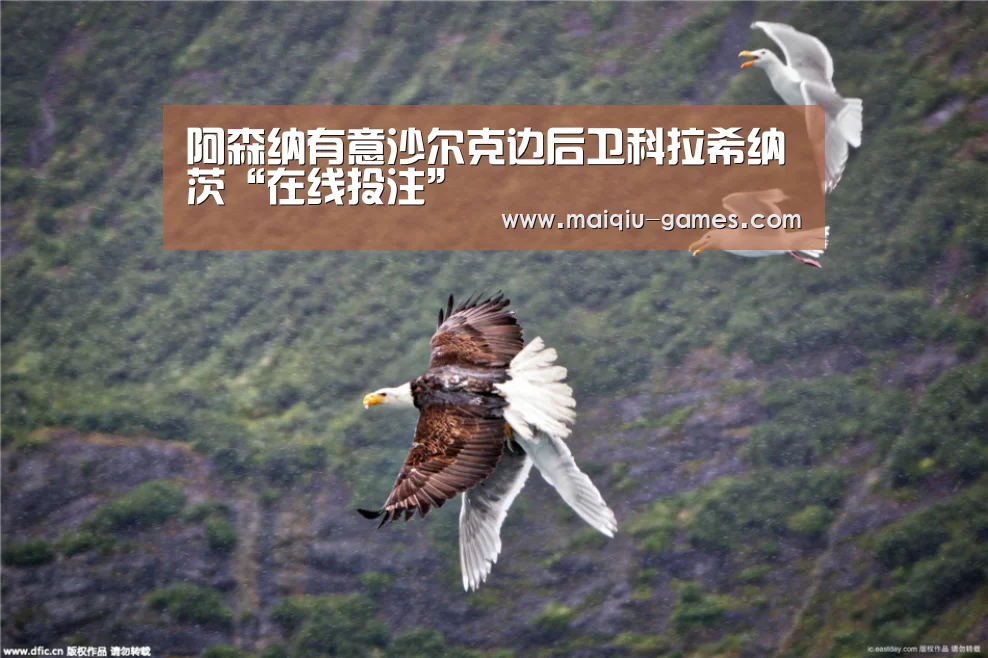 阿森纳有意沙尔克边后卫科拉希纳茨“在线投注”(图2) 在线投注